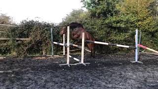 Ad ref 242949   Video 3