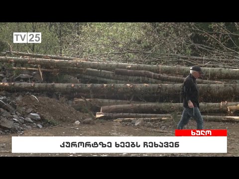 კურორტზე ხეებს ჩეხავენ