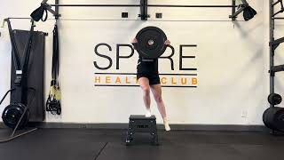 Lateral Step Down with Plate Reach