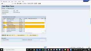 SAP HCM Payroll Class 2