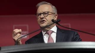 TV host labels Anthony Albanese ‘not a true leader’ amid recent controversies