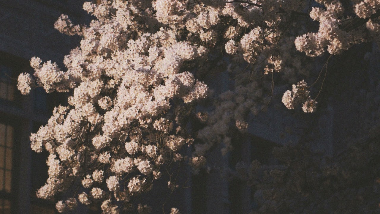 [𝙋𝙡𝙖𝙮𝙡𝙞𝙨𝙩] 드뷔시 달빛으로 물드는 밤🌙 | 지친 마음을 위한 클래식 힐링