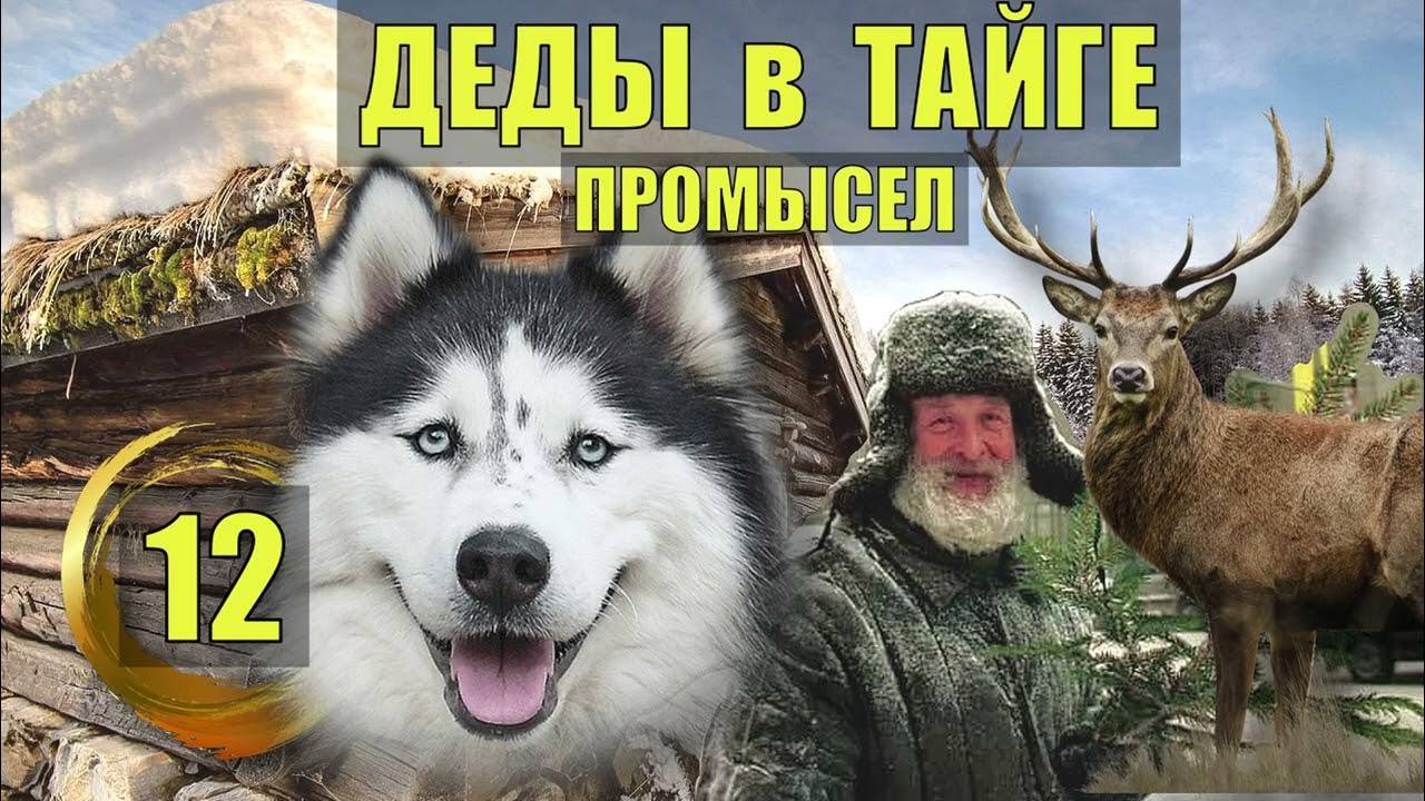 Книги о древней руси для детей. Аудиокнига из тайги в древнюю русь. Арсеньев встречи в тайге. Аудиокнига из тайги в древнюю русь. Аудиокнига из тайги в древнюю русь.