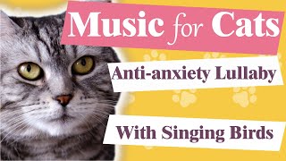 Music for Cats 🐱/ Soft Lullaby to Calm your Cat 💤/ With the Sounds of Singing Birds and Crickets 🐦 by Lounge Place 🎵  334 views 1 year ago 23 minutes
