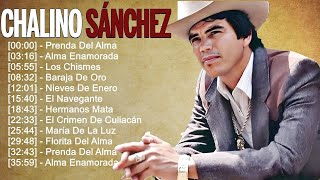 Chalino Sánchez Mix 2024  Chalino Sánchez Álbum Completo 2024  Chalino Sánchez Sus Mejores Canciones by Music Hits Channel 437 views 8 days ago 30 minutes