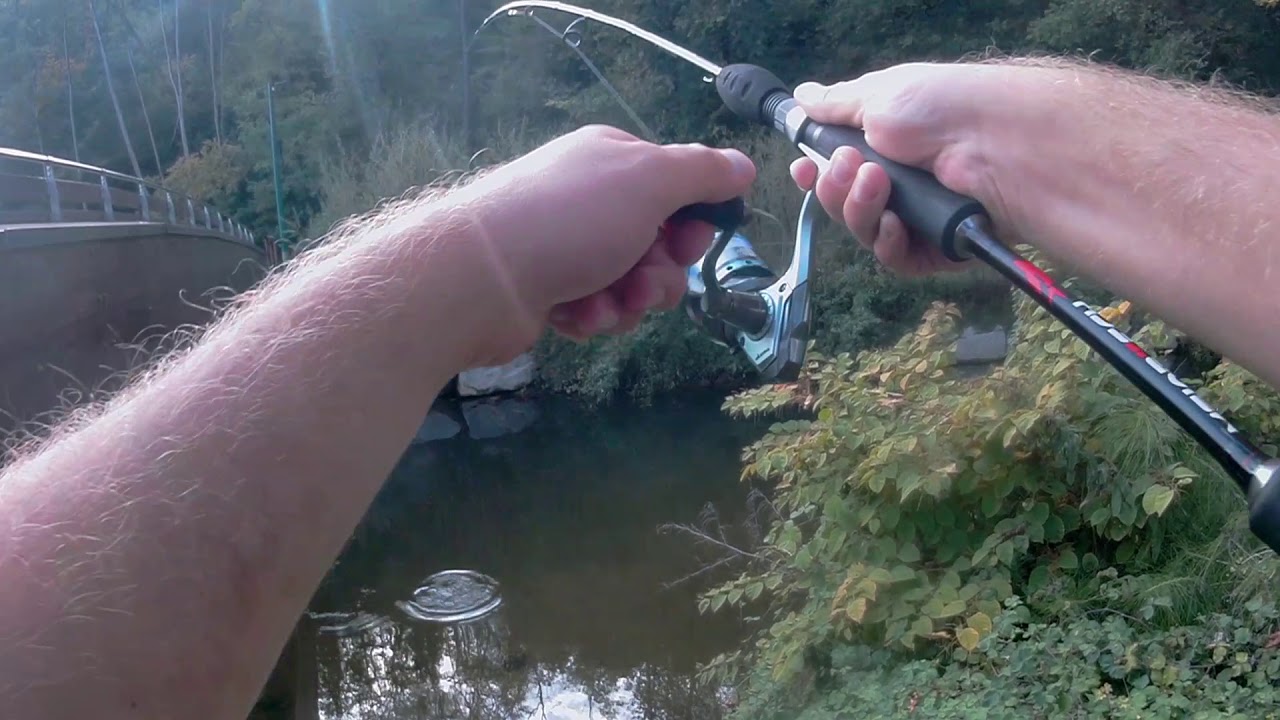 Ultra light spinning e spinfly: i cavedani del fiume olona(piu barbo finale)