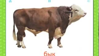 Карточки для детей - Домашние животные (01) screenshot 5