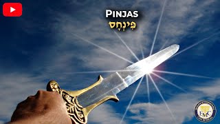 📜 Curiosidades de la parashah - PINJAS #41