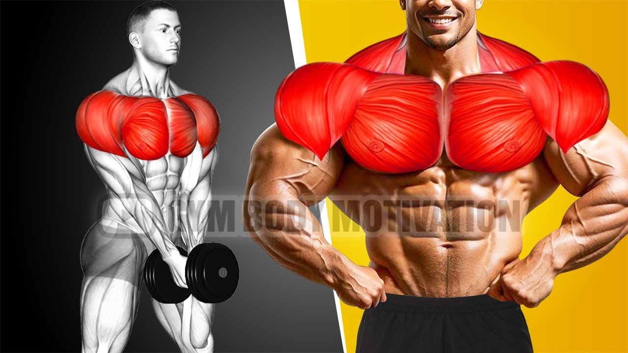 Perfect Chest and Shoulders Workout to Force Muscle Growth - YouTube