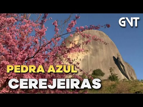 Bosque das Cerejeiras - Pedra Azul  | ?? Espírito Santo, Brasil【4K】2021