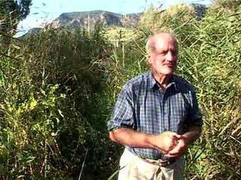 Peter Andrews at Baramul Stud - Tall Plants