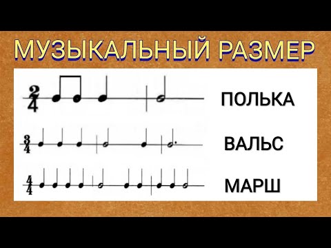 Музыкальный размер. Урок 14. Длительности и названия нот, такт, размер такта. Как определить размер?