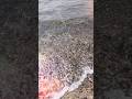 あなたがいなければとコラボ#山内惠介#shorts#あなたがいなければ#海#カップリング曲#スマホ動画 #スロー動画#写真動画#ファインダー越しの私の世界 #波#エフェクト