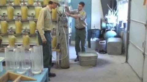 Minnesota DNR Fisheries Management -- Warmwater Hatchery