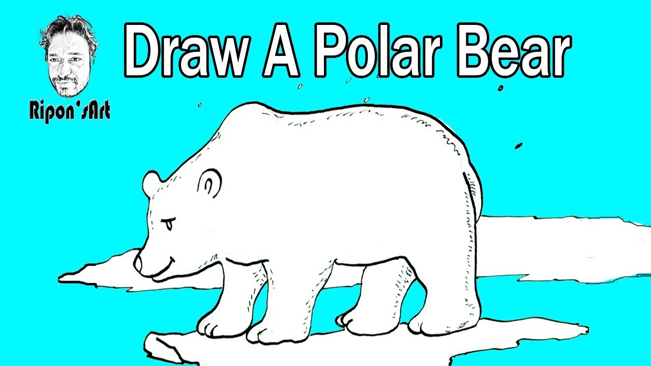 How to draw a polar bear easy and step by step - YouTube