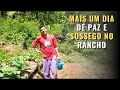 PEQUENA HORTA NO RANCHO RENDE MUITAS HORTALIÇAS | episódio 53