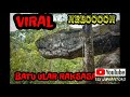 Virral  ular raksasa dikutuk menjadi batu the giant snake was cursed into stone