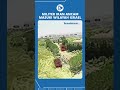 Militer Iran Ancam Masuki Wilayah Israel