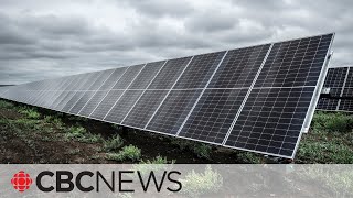 Alberta puts pause on new renewable energy projects