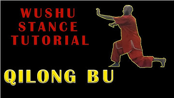 wushu tutorial stance Qilong Bu