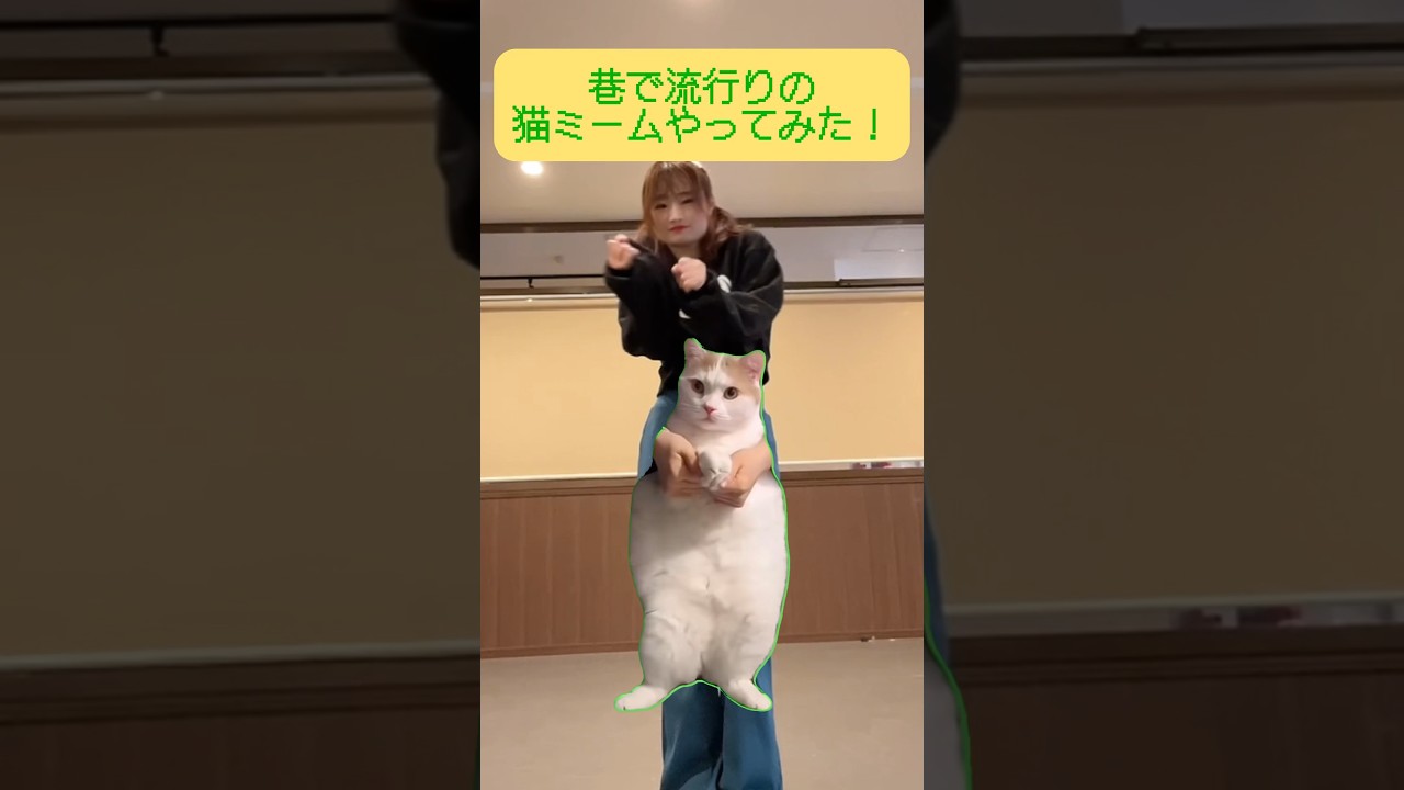 流行りの猫ミームやってみた😸#猫ミーム #猫ダンス #catmemes #memes #shorts #踊ってみた #ミーム ...