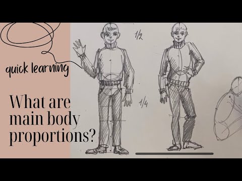 Body Proportions. How
