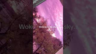 It Doesnt Even Look Real