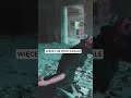 #youtubeshorts #newmusic #trapmetal #metalcore #deathmetal #numetal #blackmetal #metalhead #metal
