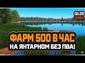 Фарм 500 в час без ПВА на Янтарном озере — Русская Рыбалка 4