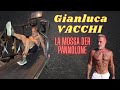 Gianlucavacchivevo la mossa der pannolone anteprima.