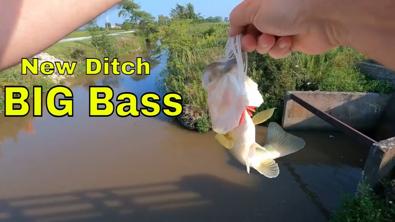 Catch Big Bass In Dirty Ditches ( Muddy Water) YouTube