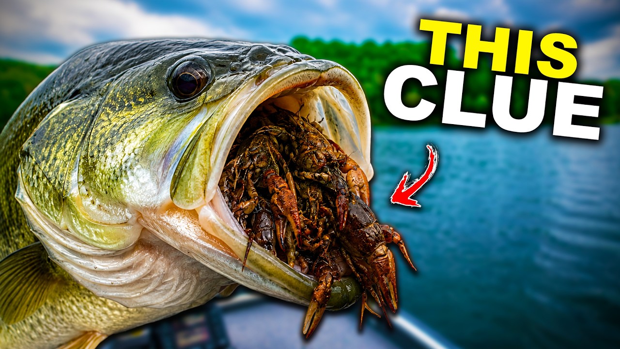 I Noticed ONE Thing… Then Caught 50 Bass