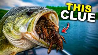 I Noticed ONE Thing... Then Caught 50 Bass