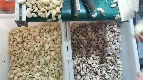 Garlic Color Sorter Machine