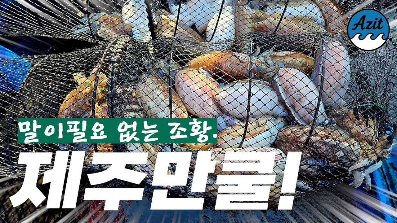 제주 갑오징어 낚시. 🎣끝보기 방법을 통한 장원🥇 마릿수영상.✨️