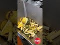 HYTT ananas afval – pineapple waste – Ananasabfall (vacuum transport | conveying | Vakuumtransport)