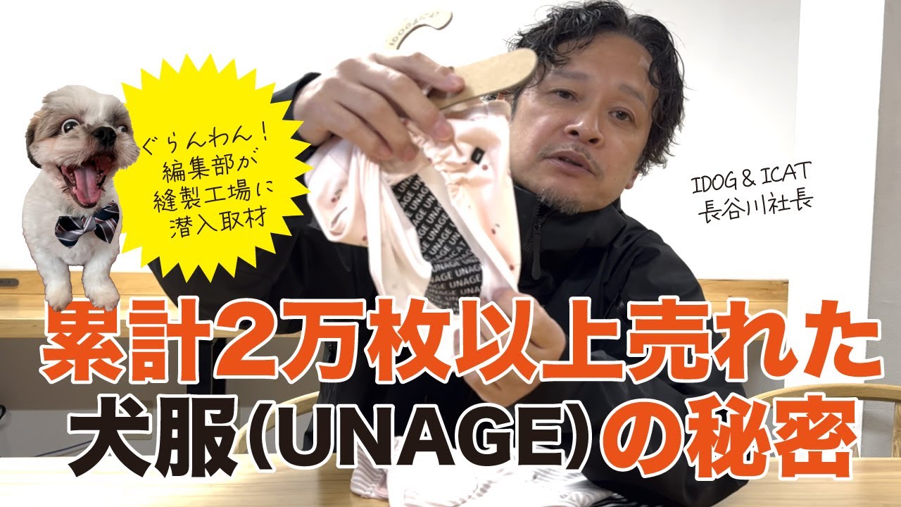 潜入取材】累計2万枚以上売れている犬服の秘密に迫る！ - YouTube