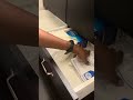 Quick 2 drawer Bathroom Reset