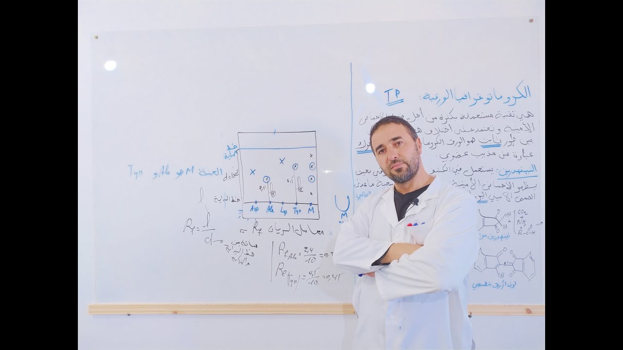 الكروماتوغرافيا الورقة