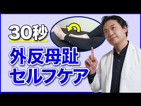 道具一切不要！ 外反母趾改善術 楽天市場】足指 セパレーター 足指 全開 広げる サポーター 6個