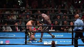 Wilder vs Breazeale Knockout. Fans reaction is priceless