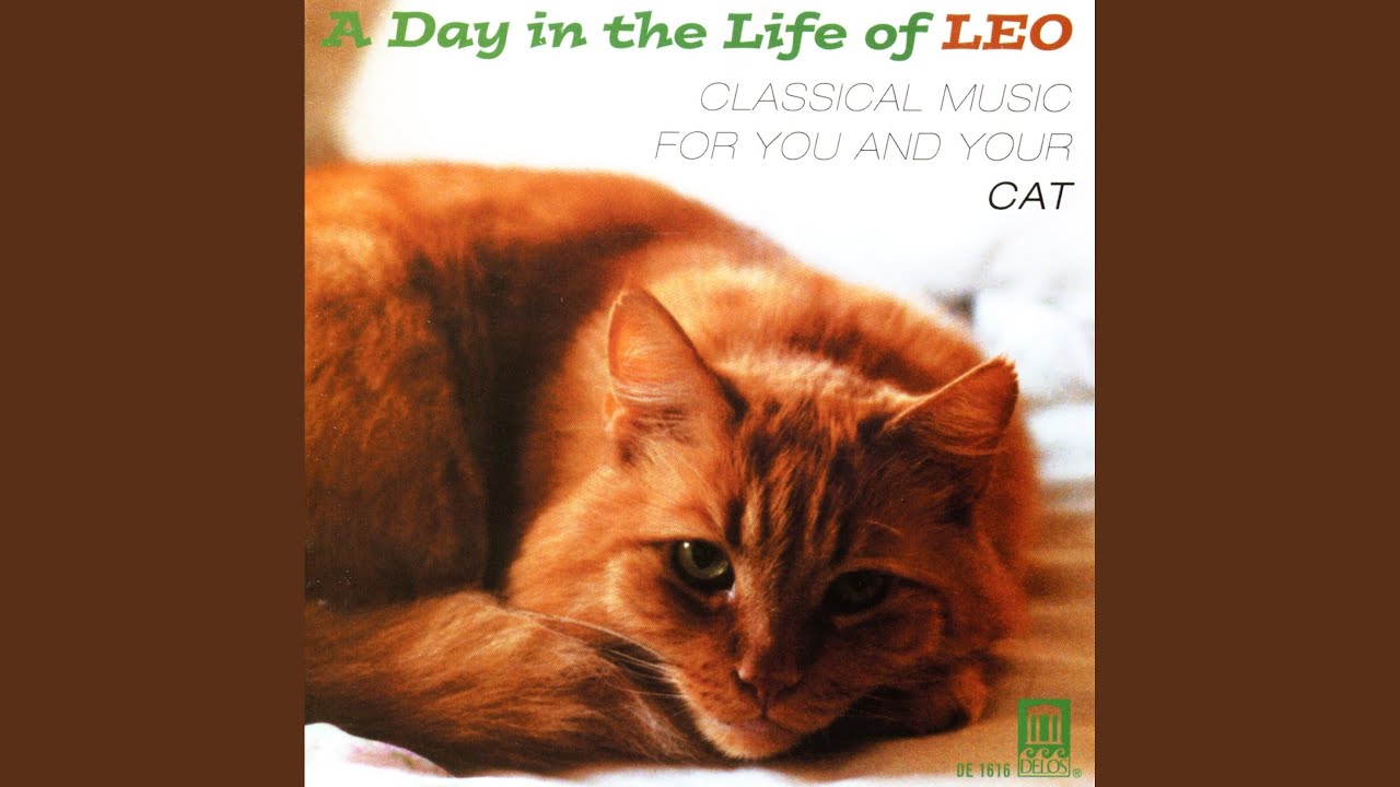 Cello Sonata in G Minor, Op. 65: III. Largo Cello Sonata in G Minor, Op. 65: III. Largo