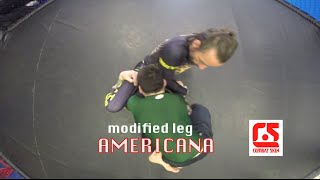 Leg Americana | Closed Guard