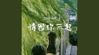 情因你而起