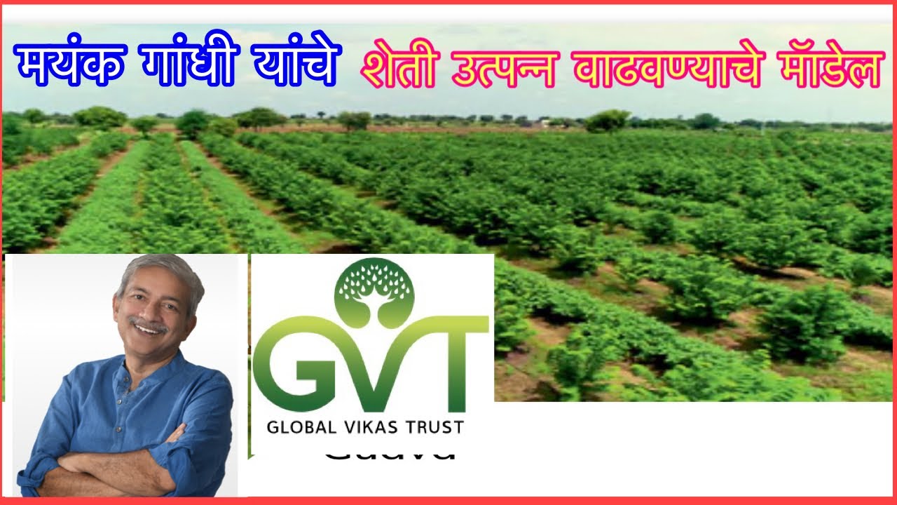 मयंक गांधी यांचे शेती उत्पन्न वाढवण्याचे मॉडेल|ग्लोबल विकास ट्रस्ट