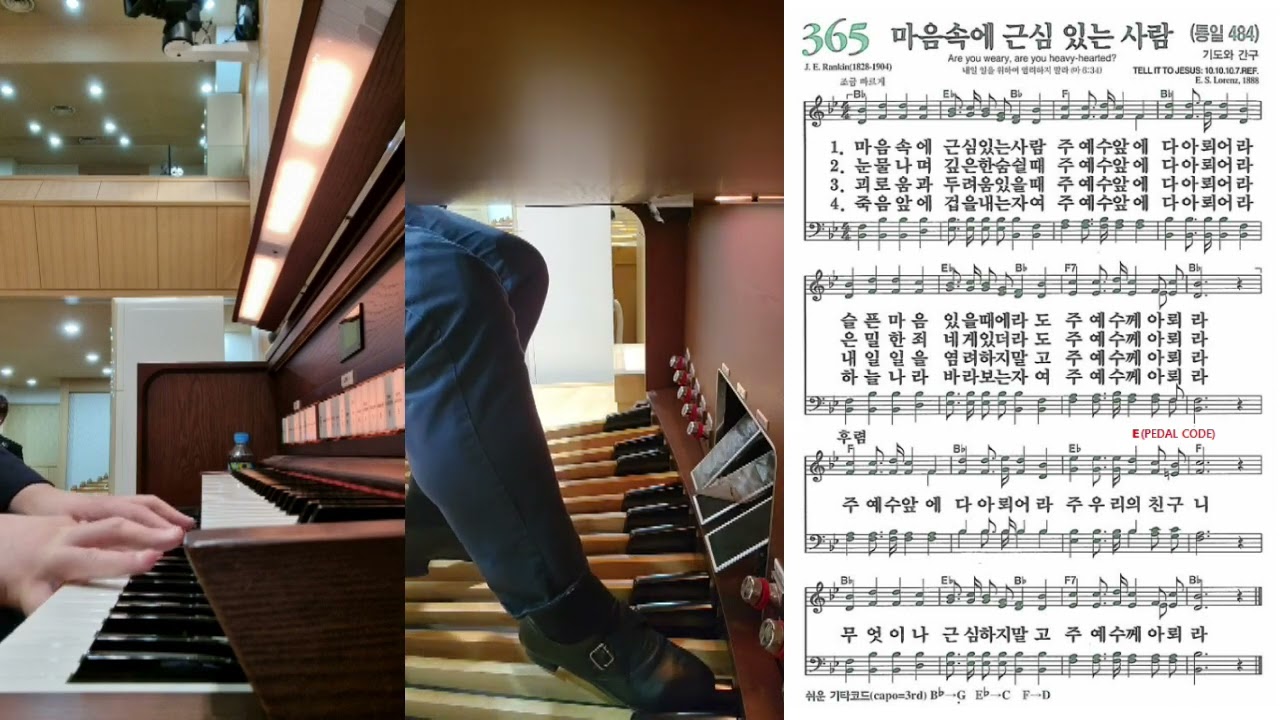365 YouTube 365-youtube
