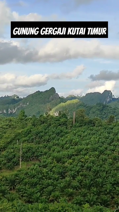 Gunung Gergaji, Tepian Langsat, Kutai Timur #borneo #kalimantan #nusantara #gunung #pemandangan