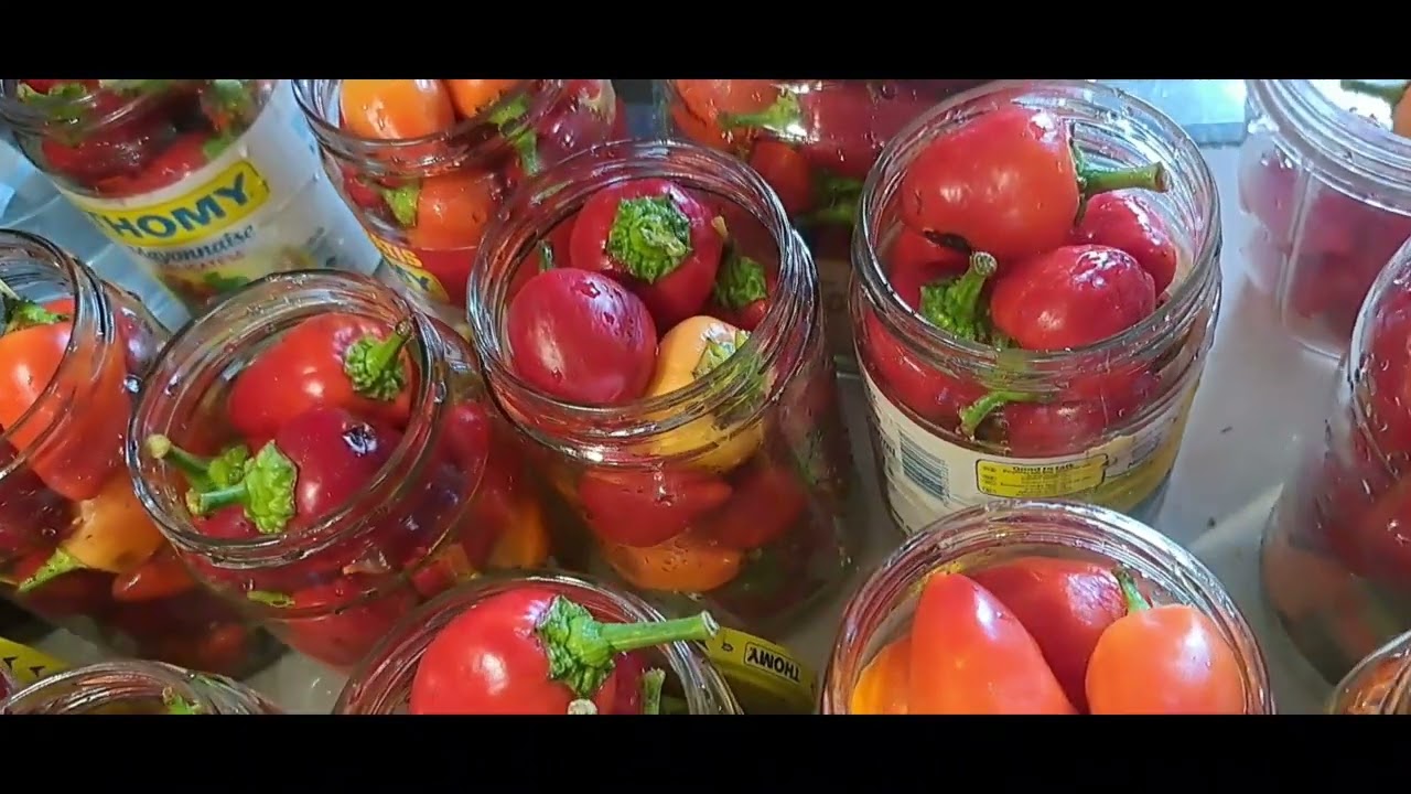 ЛУТИ ПИПЕРЧИЊА ЗА ЗИМНИЦА