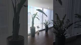 Honeyrose Hotel Pool & Gym