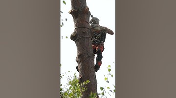 Protective chainsaw equipment for over 30 years.